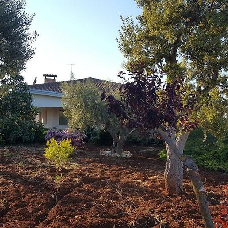 Villa La Civetta Rodonisa Conversano Exterior foto