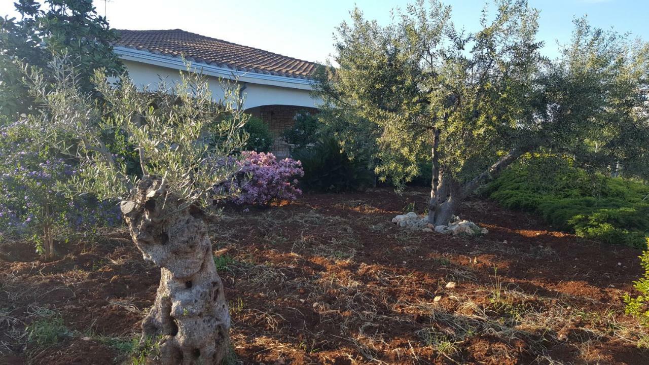 Villa La Civetta Rodonisa Conversano Exterior foto